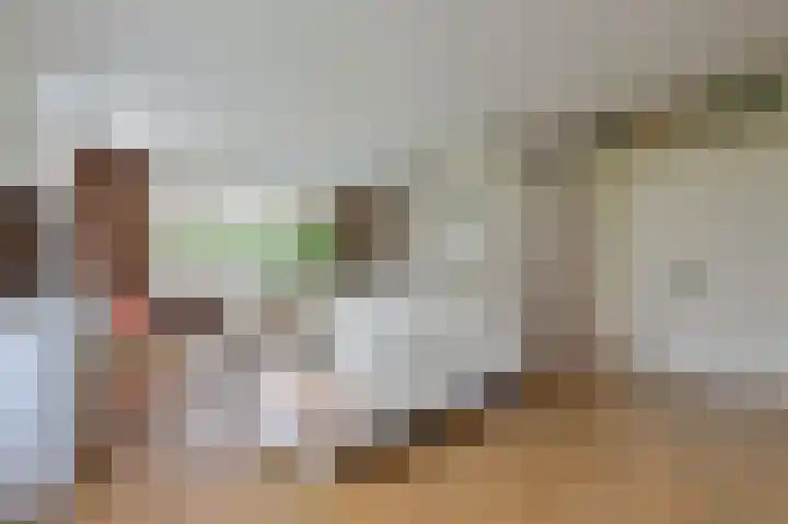Rietgans 5 a Nibbixwoud thumbnail 7
