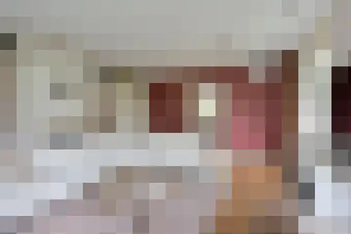 Rietgans 5 a Nibbixwoud thumbnail 8