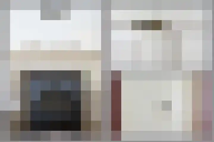 Rietgans 5 a Nibbixwoud thumbnail 9