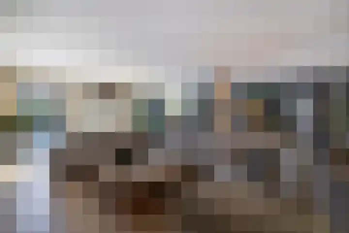 Rietgans 5 Broek op Langedijk thumbnail 13
