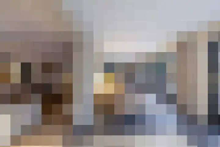 Rietgans 5 Broek op Langedijk thumbnail 15