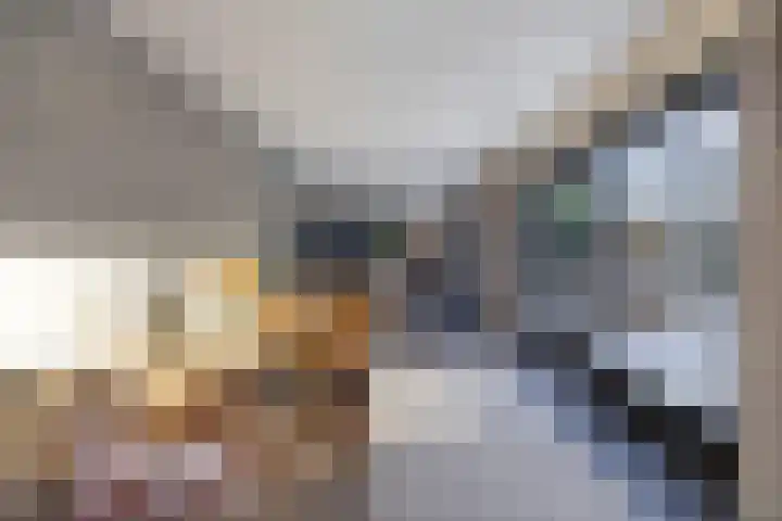 Rietgans 5 Broek op Langedijk thumbnail 16