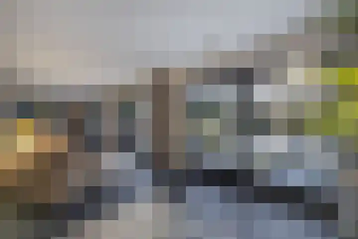 Rietgans 5 Broek op Langedijk thumbnail 17