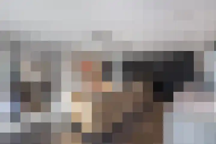 Rietgans 5 Broek op Langedijk thumbnail 21