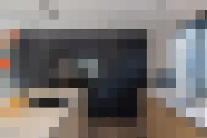 Rietgans 5 Broek op Langedijk thumbnail 22