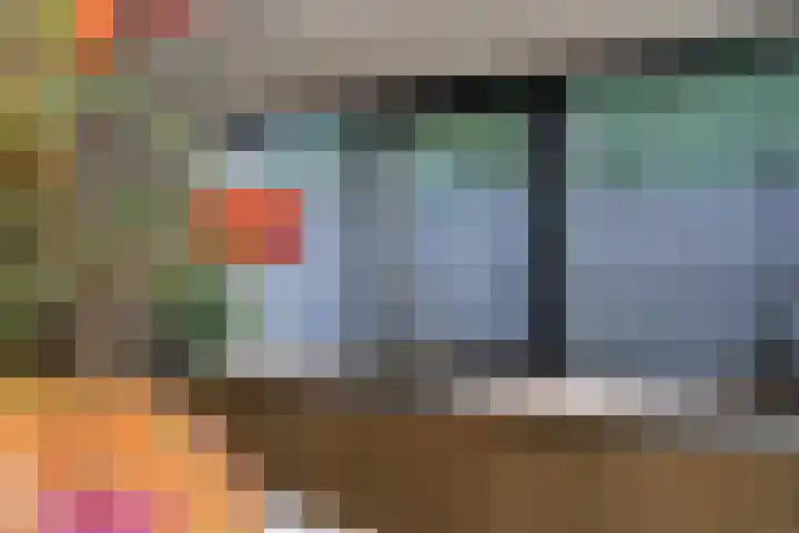 Rietgans 5 Broek op Langedijk thumbnail 23