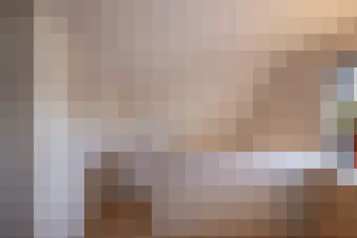 Rietgans 5 Broek op Langedijk thumbnail 29