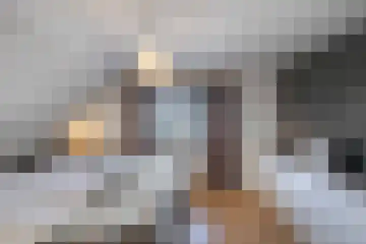 Rietgans 5 Broek op Langedijk thumbnail 32