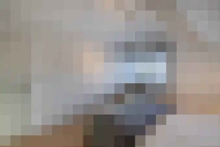 Rietgans 5 Broek op Langedijk thumbnail 33