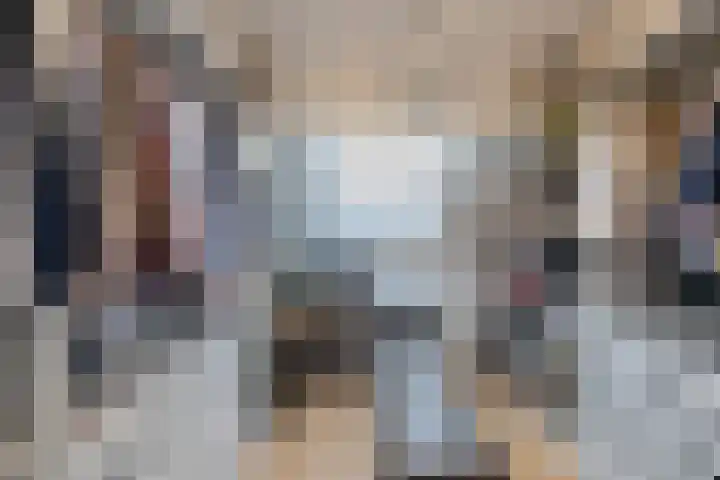 Rietgans 5 Broek op Langedijk thumbnail 34