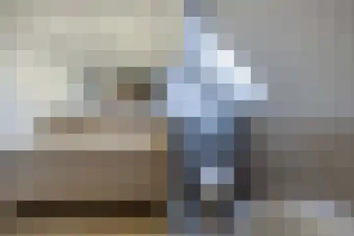 Rietgans 5 Broek op Langedijk thumbnail 36