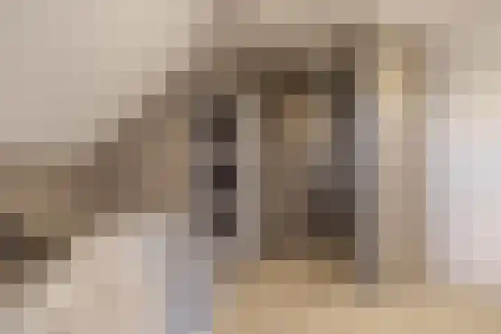 Rietgans 5 Broek op Langedijk thumbnail 38
