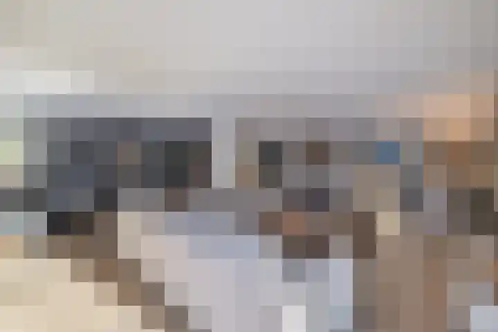 Rietgans 5 Broek op Langedijk thumbnail 4