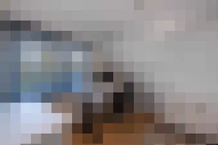 Rietgans 5 Broek op Langedijk thumbnail 40