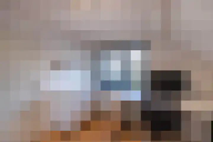 Rietgans 5 Broek op Langedijk thumbnail 41