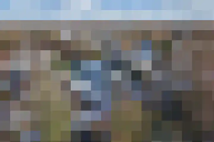 Rietgans 5 Broek op Langedijk thumbnail 42