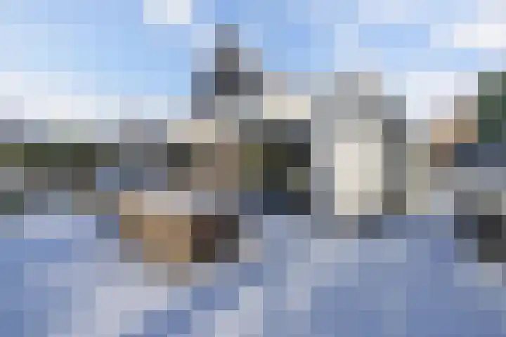 Rietgans 5 Broek op Langedijk thumbnail 44