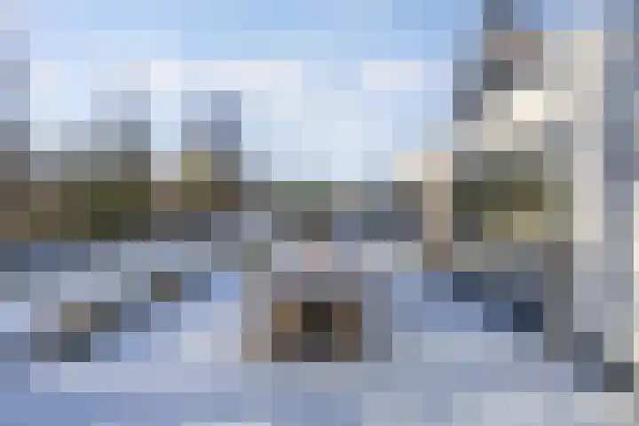 Rietgans 5 Broek op Langedijk thumbnail 45
