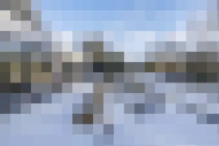 Rietgans 5 Broek op Langedijk thumbnail 46
