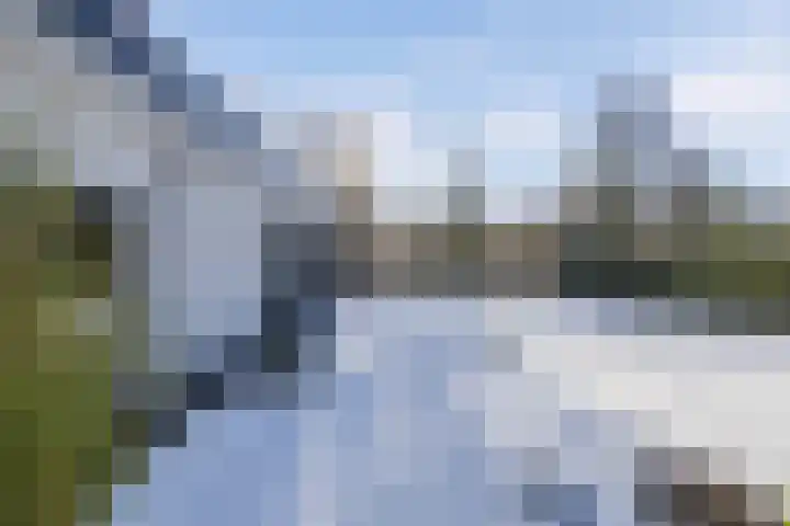 Rietgans 5 Broek op Langedijk thumbnail 47