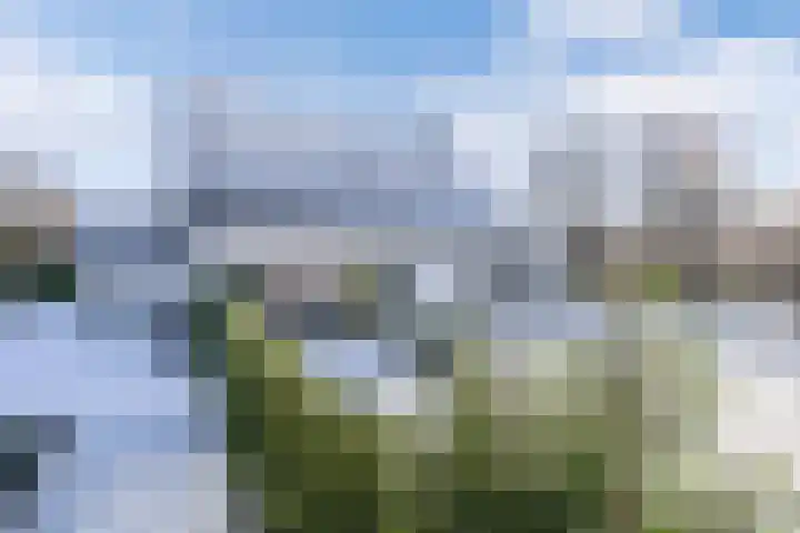 Rietgans 5 Broek op Langedijk thumbnail 48