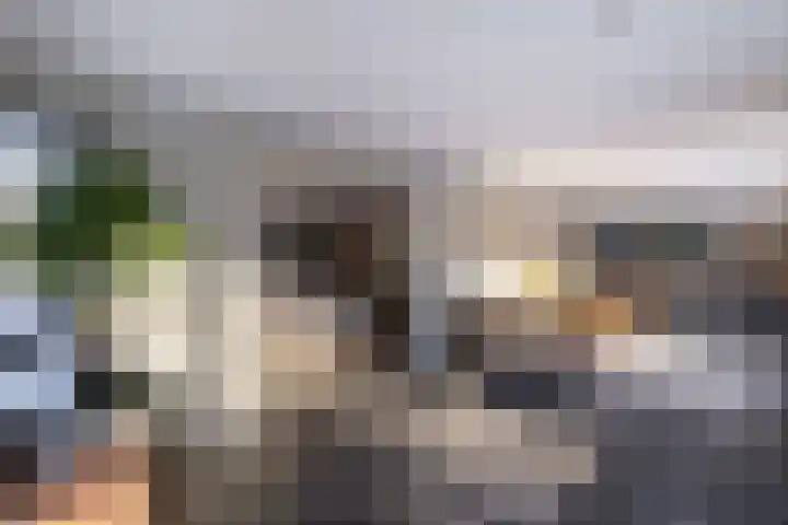 Rietgans 5 Broek op Langedijk thumbnail 5