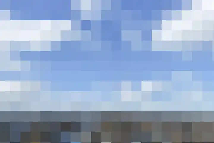 Rietgans 5 Broek op Langedijk thumbnail 50