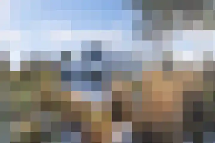Rietgans 5 Broek op Langedijk thumbnail 6