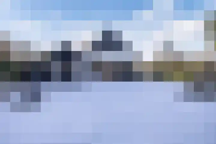 Rietgans 5 Broek op Langedijk thumbnail 7