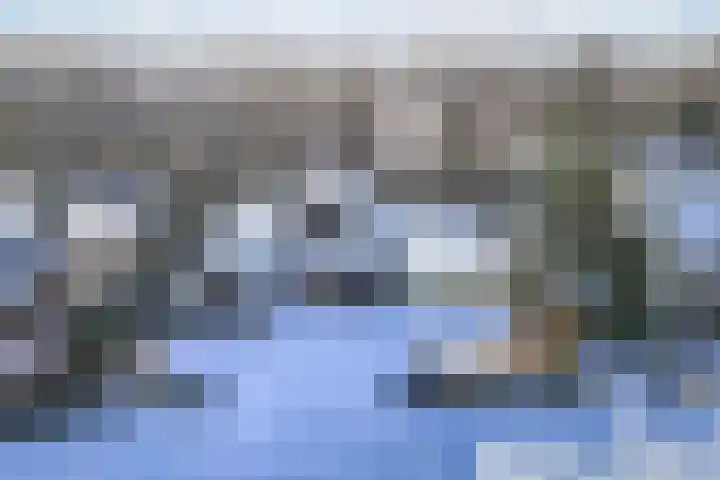 Rietgans 5 Broek op Langedijk thumbnail 8