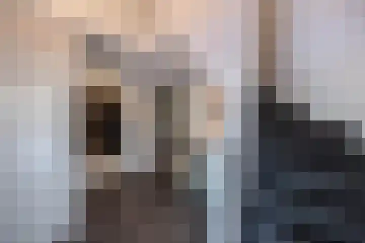 Rietgans 5 Broek op Langedijk thumbnail 9