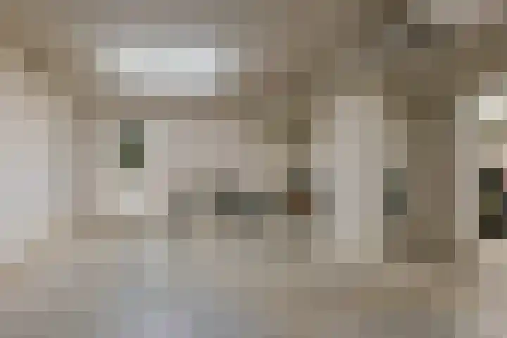Rietgans 5 Mijdrecht thumbnail 22