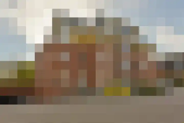 Rietgans 5 Mijdrecht thumbnail 23