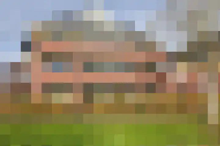 Rietgans 5 Mijdrecht thumbnail 24