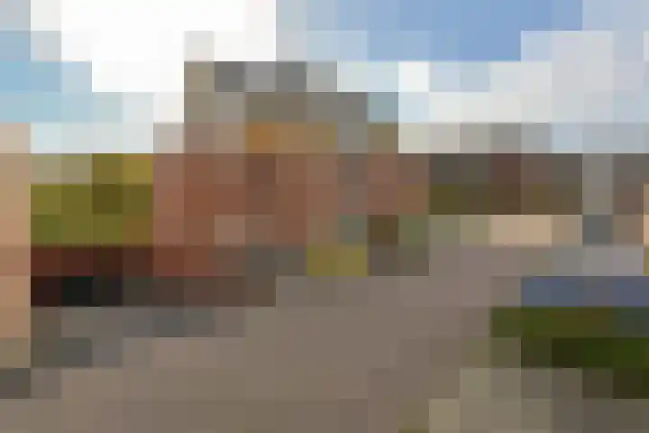 Rietgans 5 Mijdrecht thumbnail 5