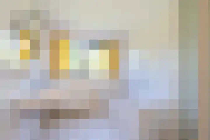 Rietganslaan 18 Almere thumbnail 31