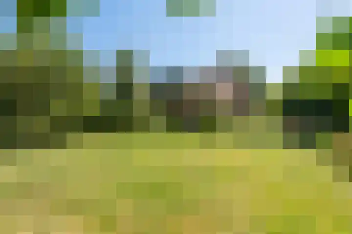 Rietganslaan 18 Almere thumbnail 34