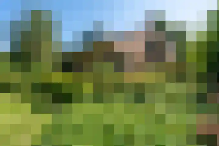Rietganslaan 18 Almere thumbnail 35