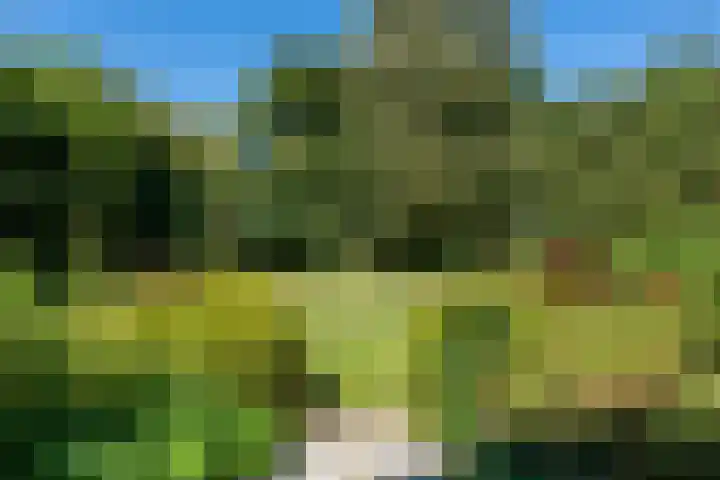 Rietganslaan 18 Almere thumbnail 36