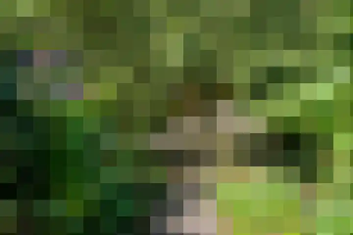 Rietganslaan 18 Almere thumbnail 37