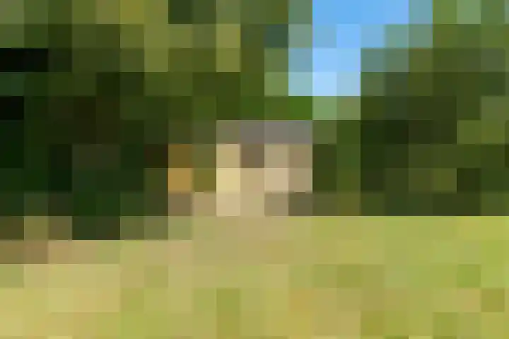 Rietganslaan 18 Almere thumbnail 38