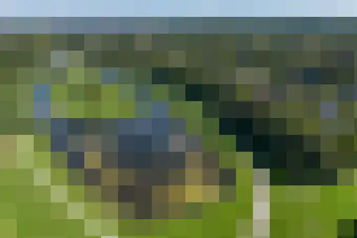 Rietganslaan 18 Almere thumbnail 4