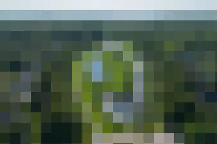 Rietganslaan 18 Almere thumbnail 41