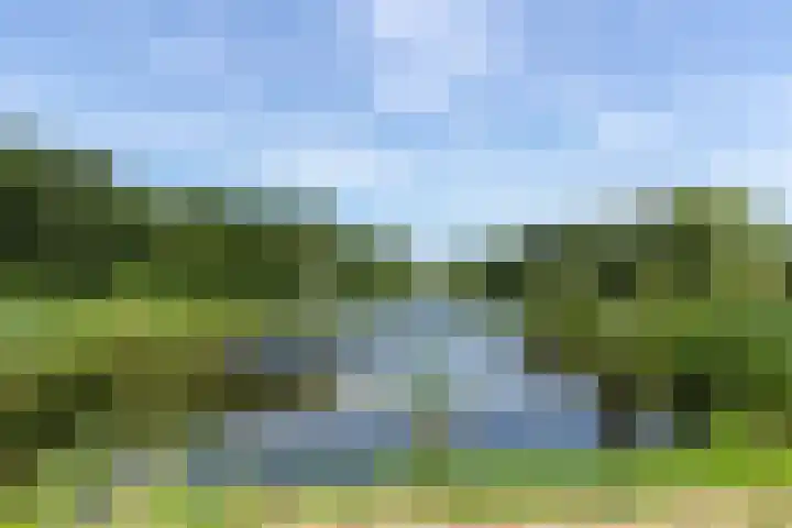 Rietganslaan 18 Almere thumbnail 42