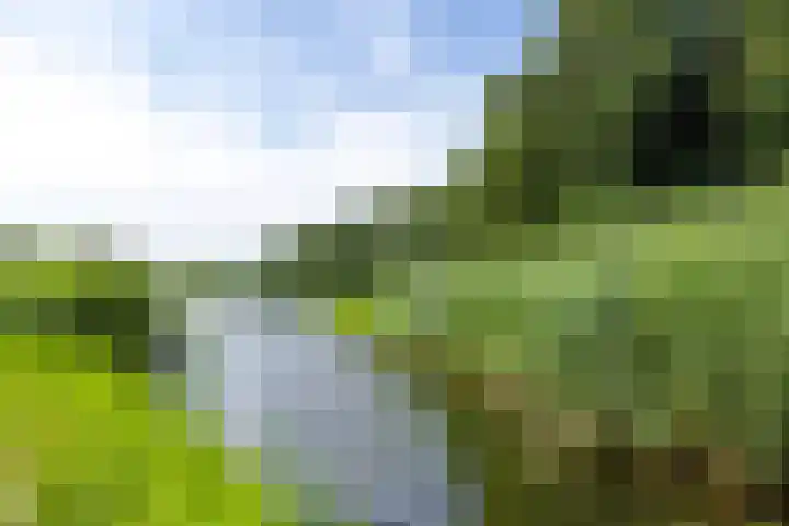 Rietganslaan 18 Almere thumbnail 43