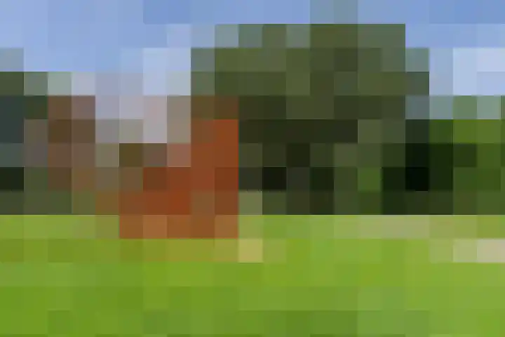 Rietganslaan 18 Almere thumbnail 45