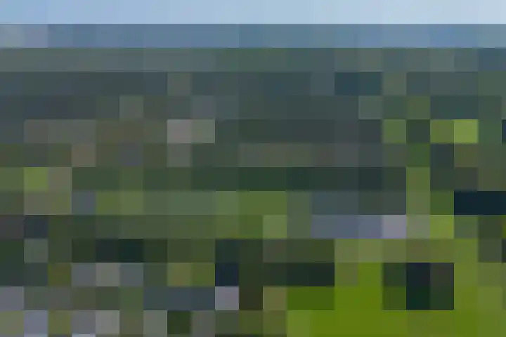 Rietganslaan 18 Almere thumbnail 5