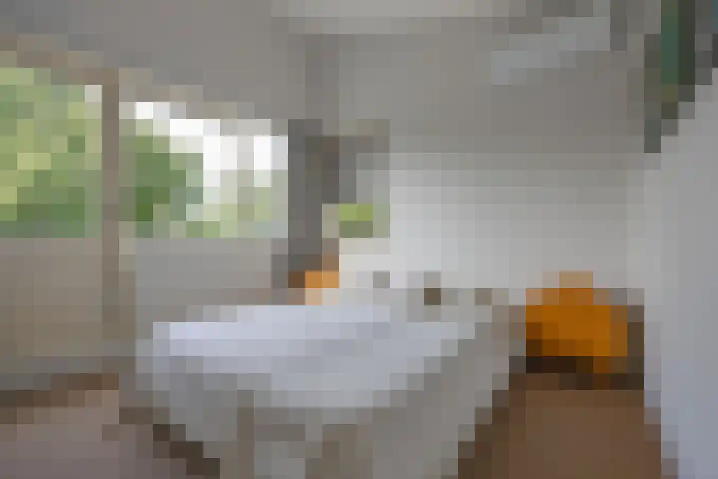 Rietganslaan 5 Almere thumbnail 31