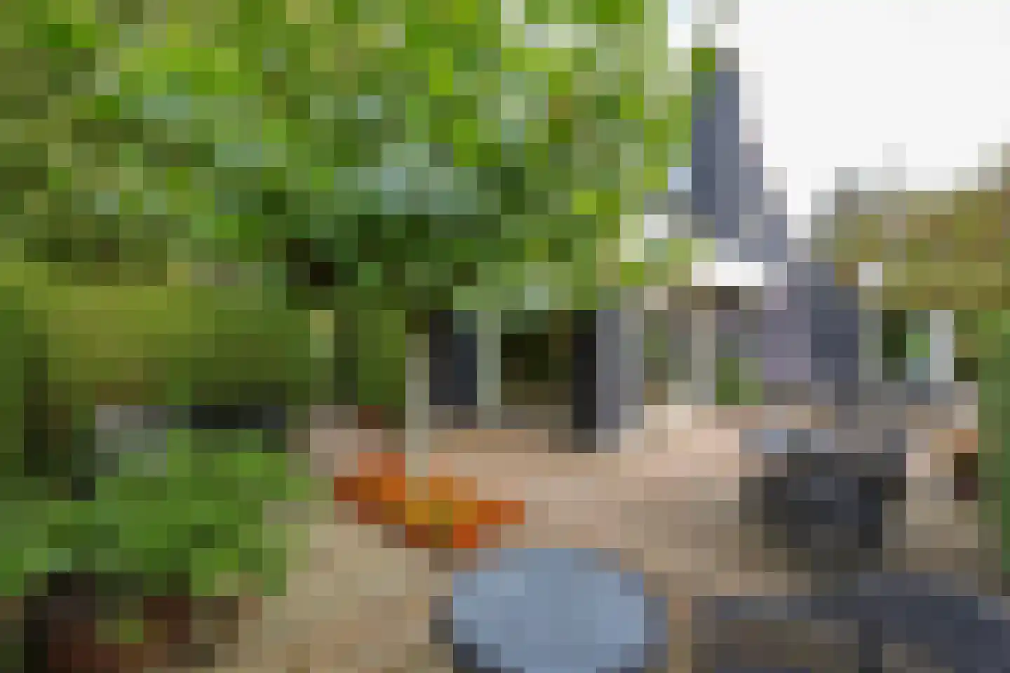 Rietganslaan 5 Almere thumbnail 41