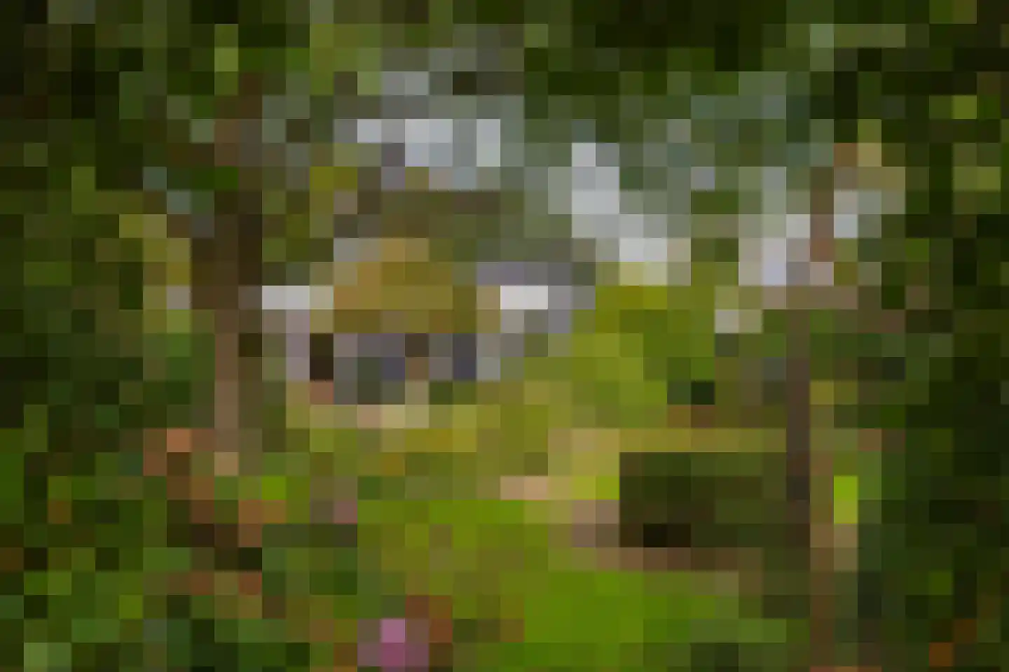 Rietganslaan 5 Almere thumbnail 45